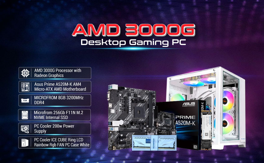 AMD 3000G Desktop Gaming PC